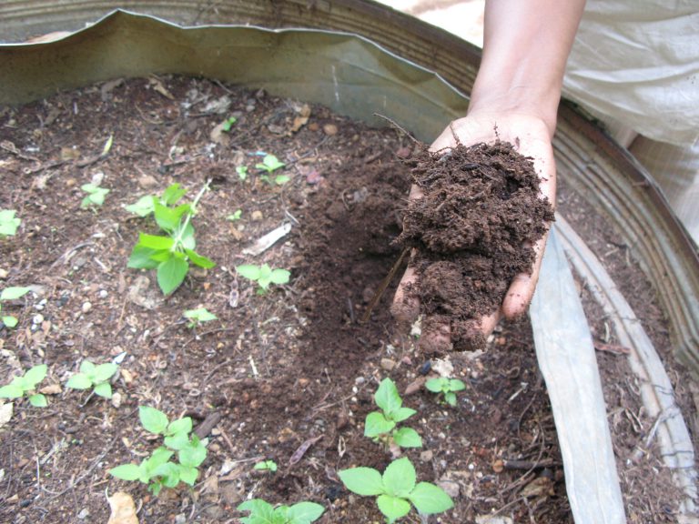 Les différences entre le compost et le terreau Le Compostage