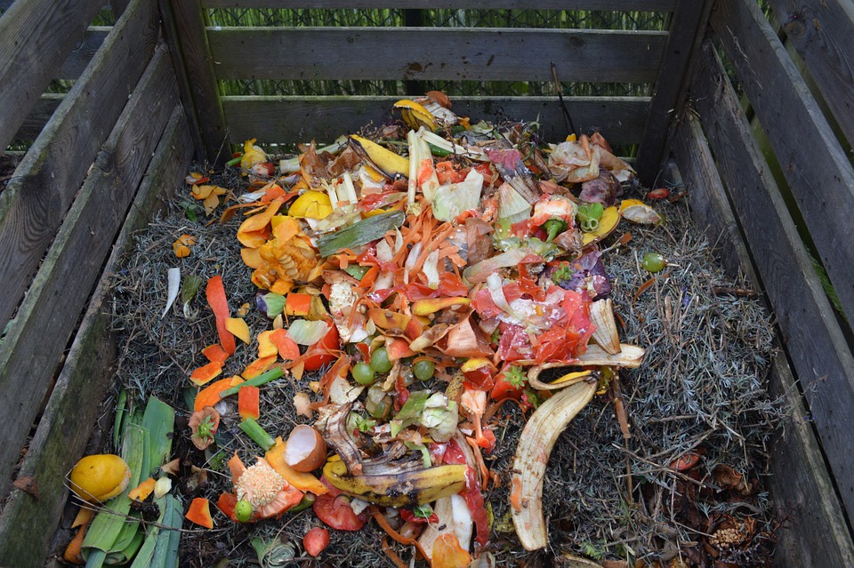 Qu’est-ce que le compost ?