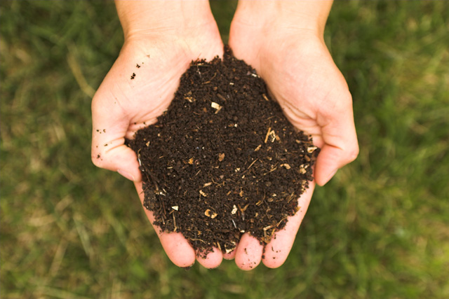 Comment faire du compost