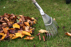 Recycler les feuilles mortes et autres débris végétaux