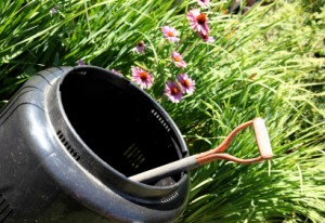Comment faire pousser de la vigne ?