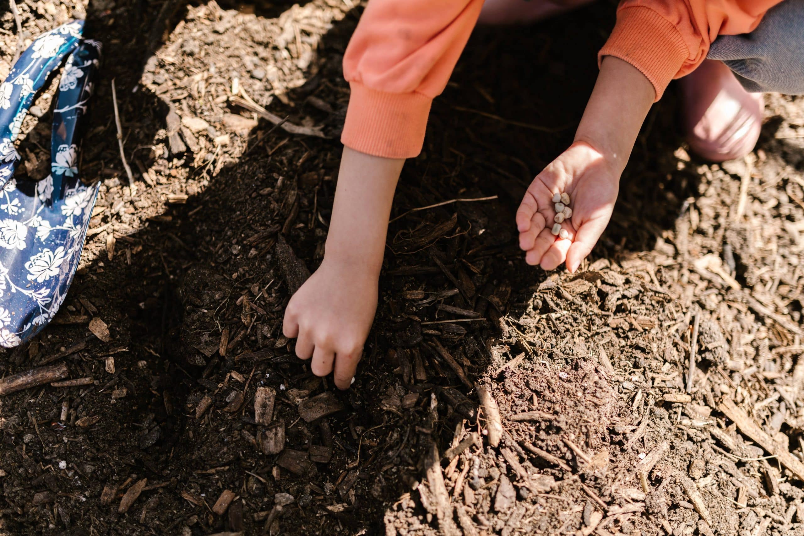 Comment réussir à coup sûr son compost de jardin ? - NeozOne