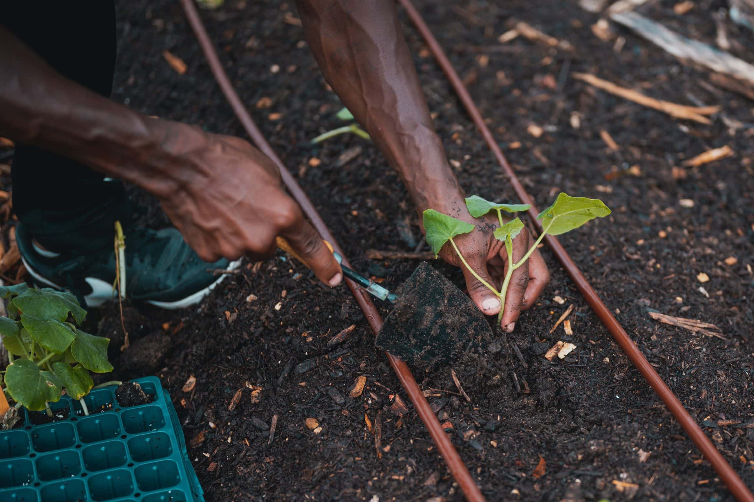 Fabriquer un bac à compost 