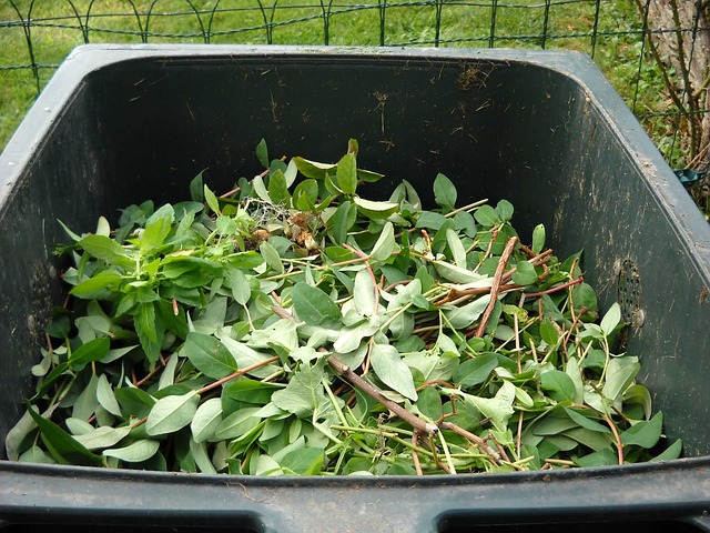 Que faire de ses déchets verts ?